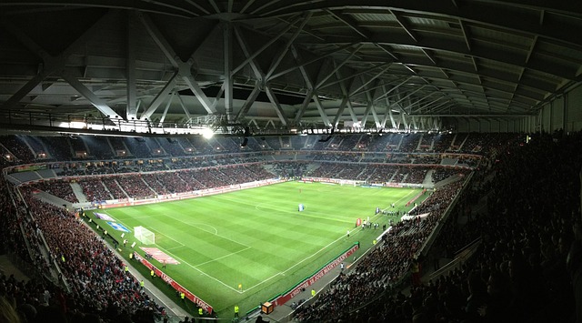 胜天国际：品牌介绍中的条件与边界